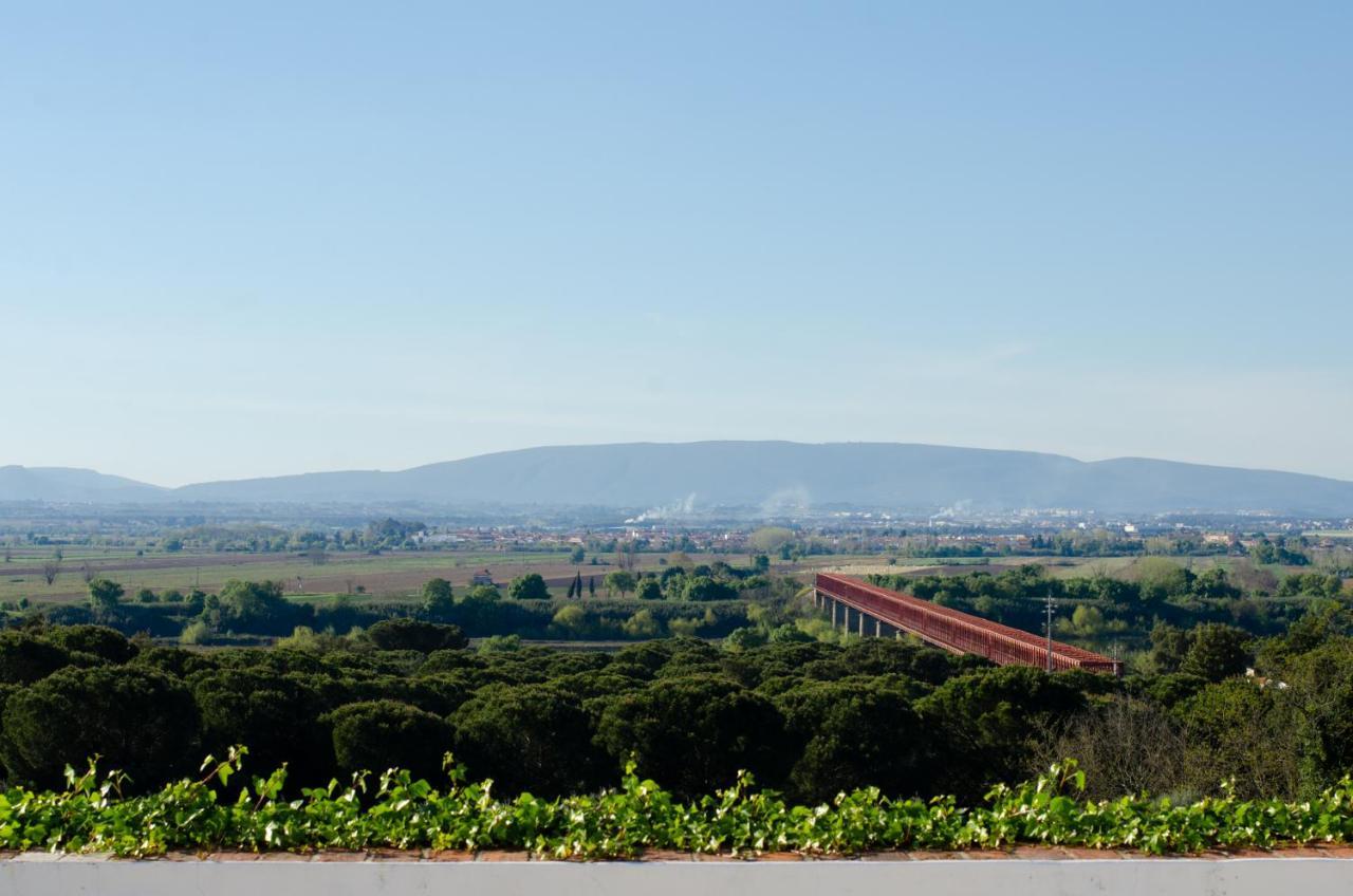 Convento Inn And Artists Residency Chamusca  Buitenkant foto