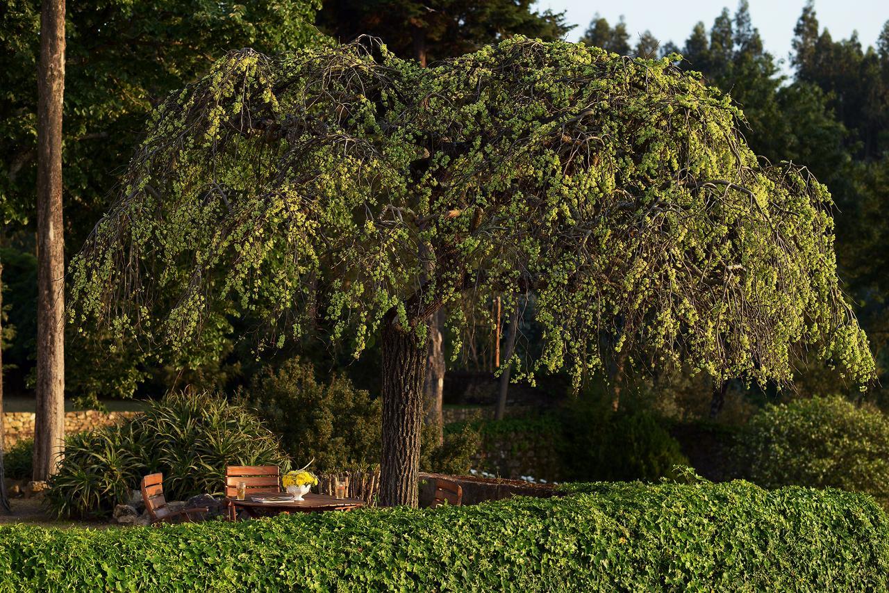 Convento Inn And Artists Residency Chamusca  Buitenkant foto
